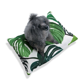 Green Monstera Watercolor Botanical Pet Bed