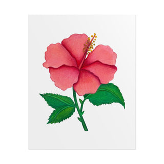 Hibiscus Flower Art Print | Colored Pencil Drawing