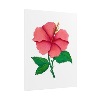 Hibiscus Flower Art Print | Colored Pencil Drawing