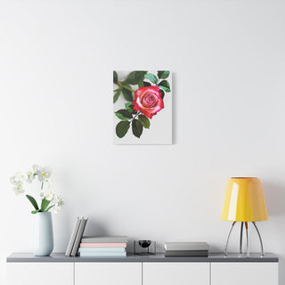 Simply Rosy Canvas Print | Digital Art