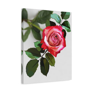 Simply Rosy Canvas Print | Digital Art