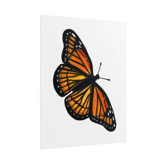 Monarch Butterfly Art Print | Colored Pencil Drawing