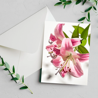 Lovely Lillies | Postcard