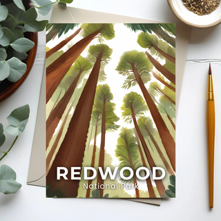 Redwood National Park Postcard