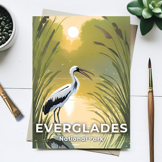 Everglades National Park Postcard