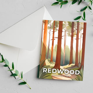 Redwood National Park Postcard