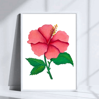 Hibiscus Flower Art Print | Colored Pencil Drawing