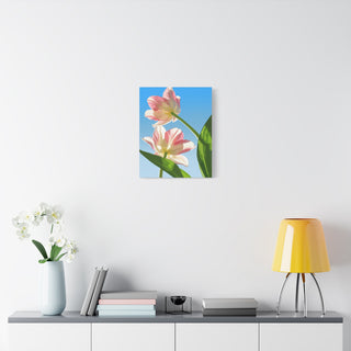 Tulip Garden Canvas Print | Digital Art