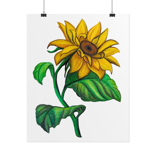 Yellow Sunflower Art Print | Colored Pencil Drawing