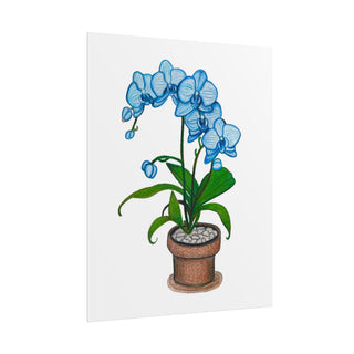 Blue Orchid Art Print | Colored Pencil Drawing