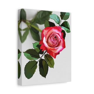 Simply Rosy Canvas Print | Digital Art