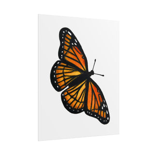 Monarch Butterfly Art Print | Colored Pencil Drawing