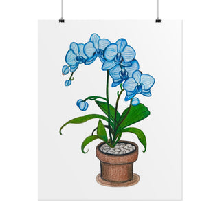Blue Orchid Art Print | Colored Pencil Drawing