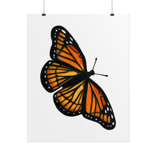 Monarch Butterfly Art Print | Colored Pencil Drawing